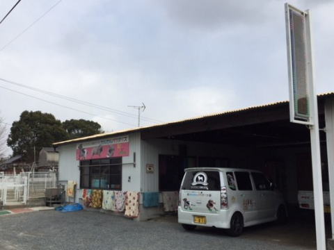 フレンチブルドッグわんわんパラダイス