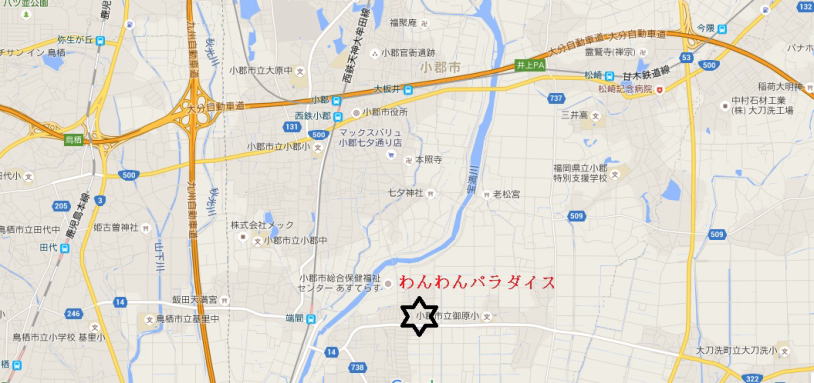 フレンチブルドッグわんわんパラダイス