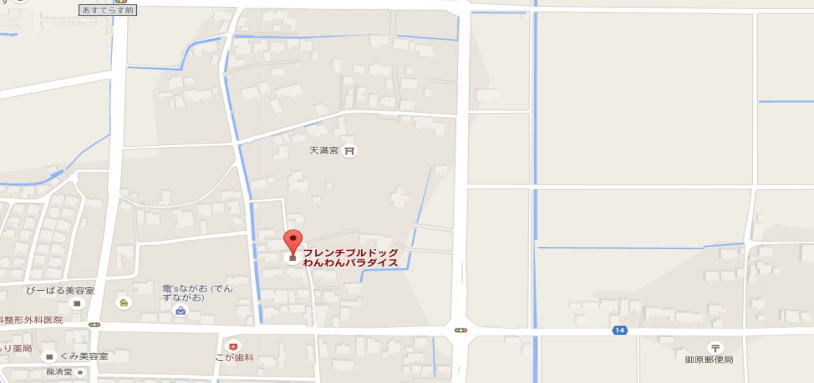 フレンチブルドッグわんわんパラダイス